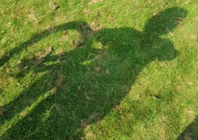 mountain bike cycling